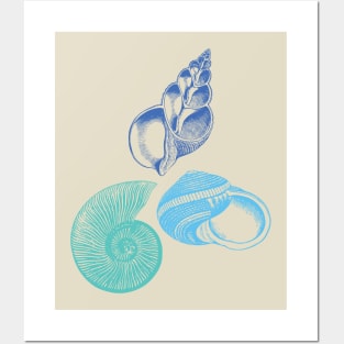 Seashell Nautical Ocean Summer Sea Posters and Art